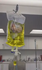 IV Therapy Bag IV Therapy Bag